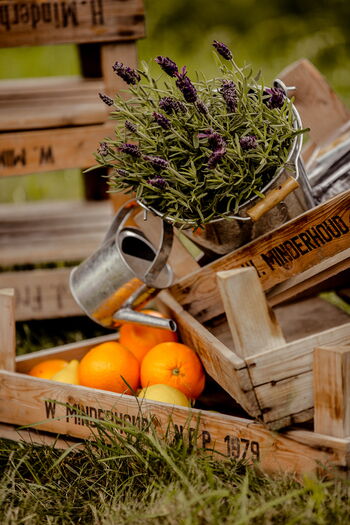 Natürliche Hochzeitsdekoration für freie Trauung im Garten in Düsseldorf
