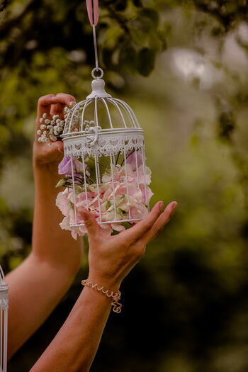Gartenhochzeit Komplettkonzept mit Dekoration für Siegen
