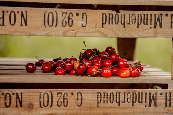 Natürliche Hochzeitsgestaltung für Gartenhochzeiten in Freudenberg